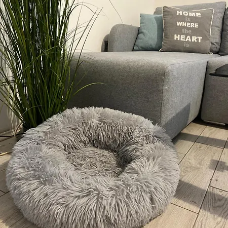 Apartament Kutak *